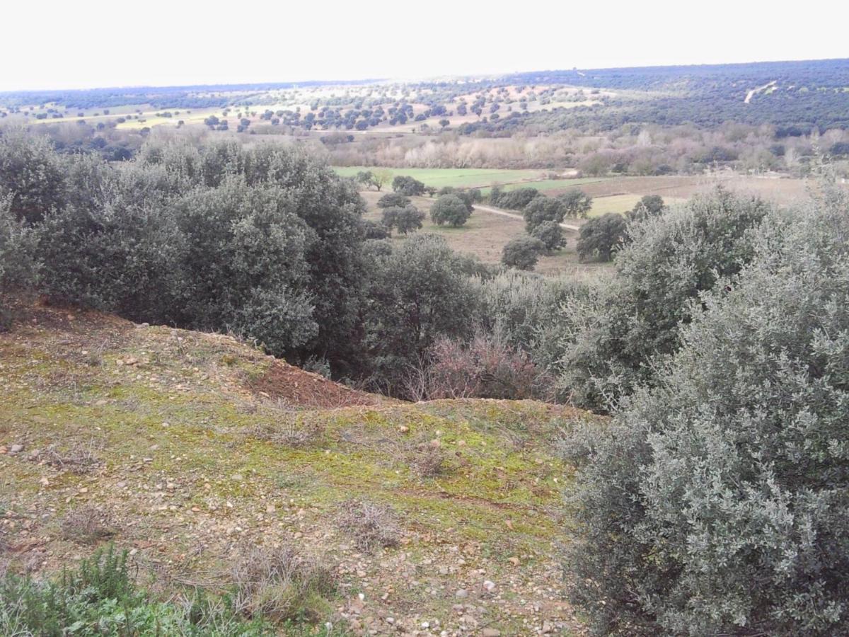 Posada La Reja Malpica de Tajo Екстер'єр фото